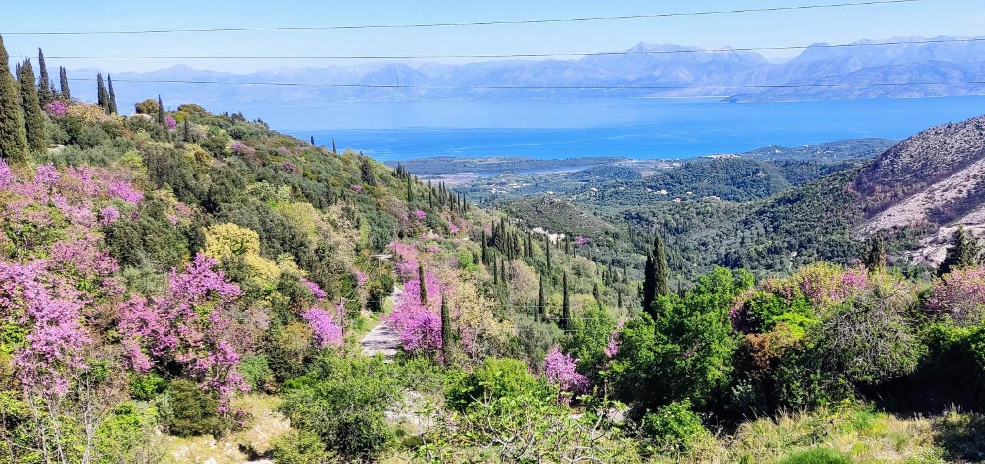 Castello Di Lafki Διαμέρισμα